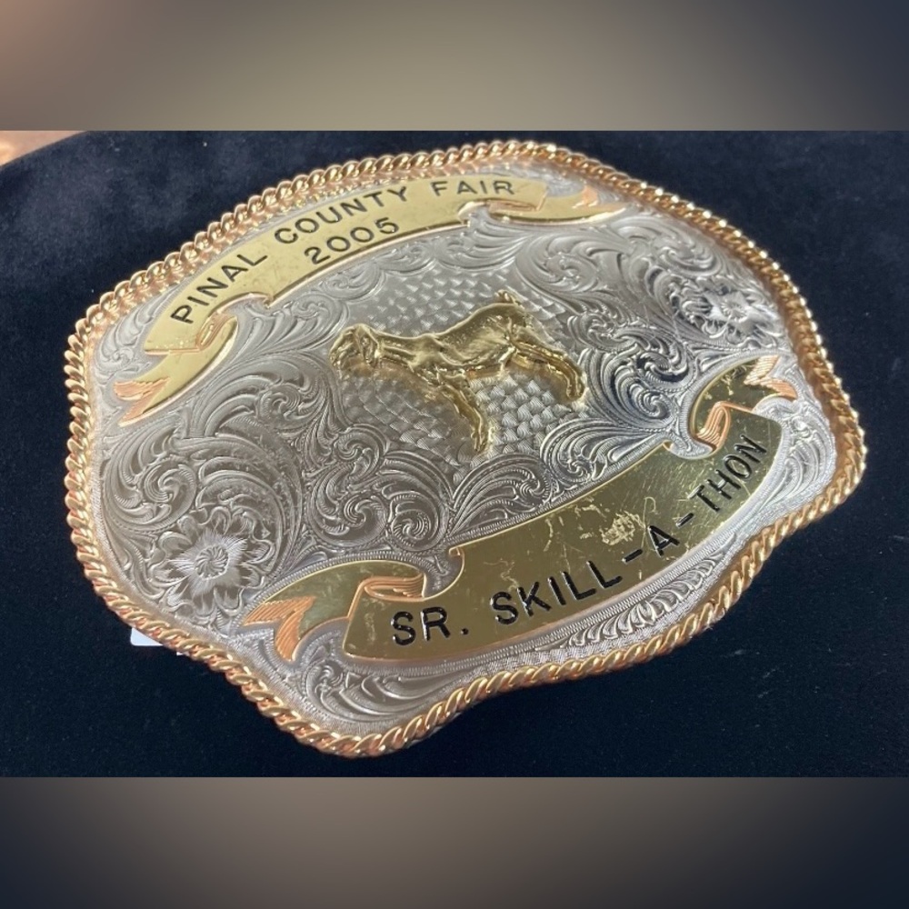 2005 PINAL COUNTY FAIR SR. SKILL-A-THON TROPHY BELT BUCKLE LARGE - Picture 3 of 11